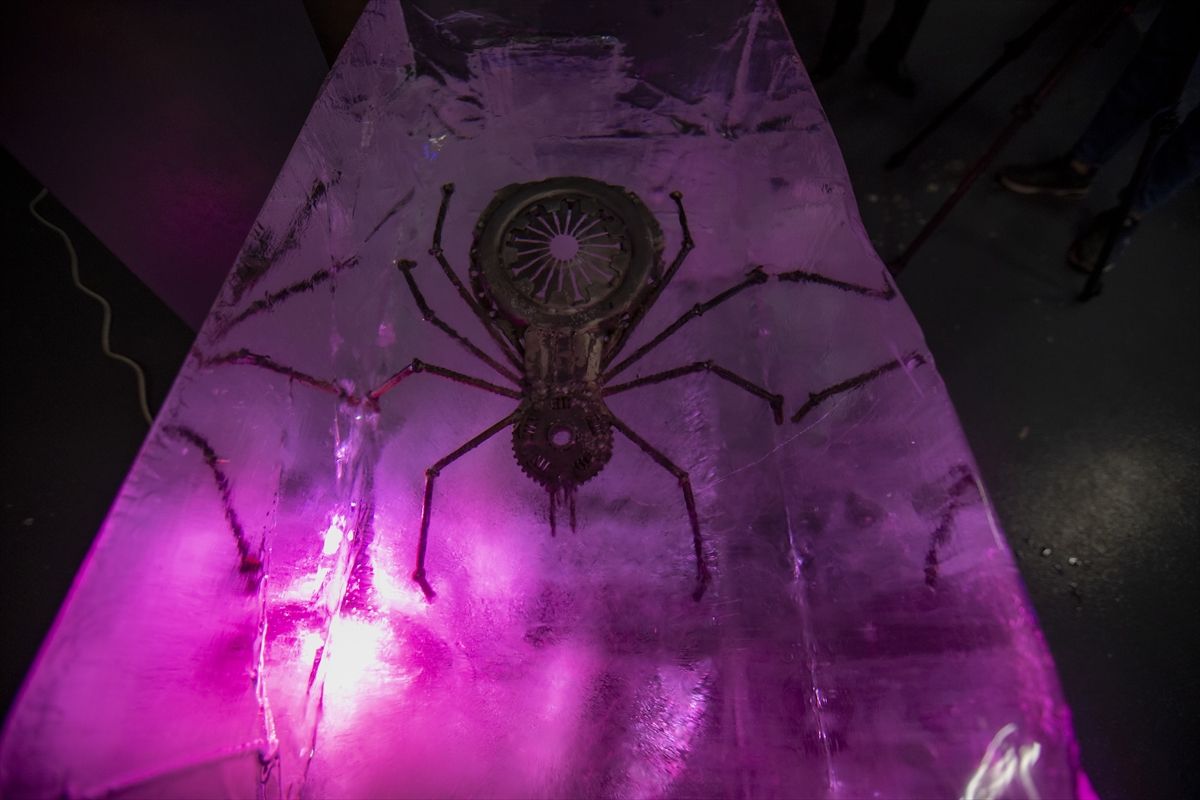 Erzurum'daki Buz Müzesi, yoğun ilgi görüyor! 9