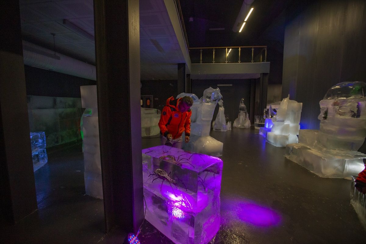 Erzurum'daki Buz Müzesi, yoğun ilgi görüyor! 6