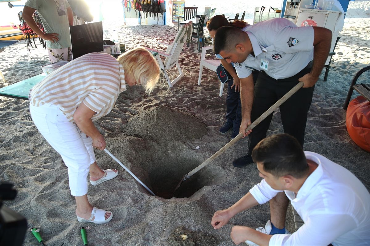 Caretta caretta yuvaları takibe alındı! 7