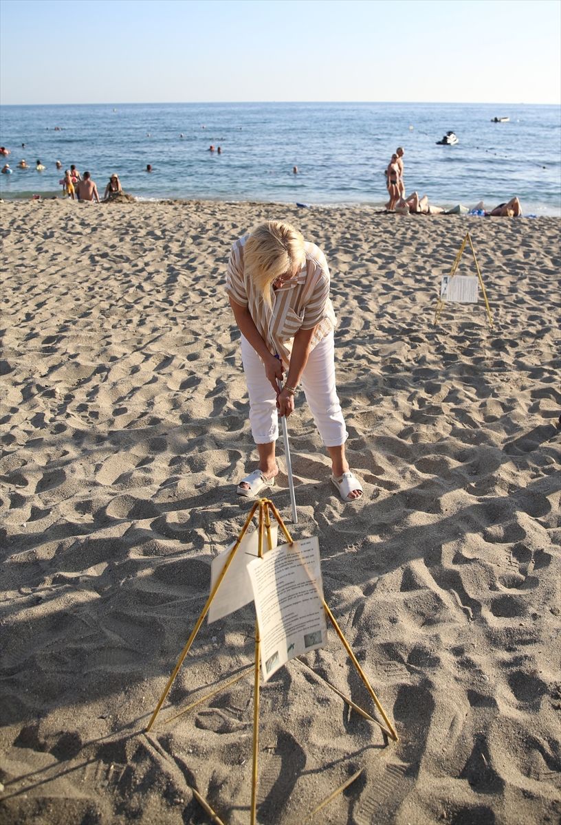 Caretta caretta yuvaları takibe alındı! 3