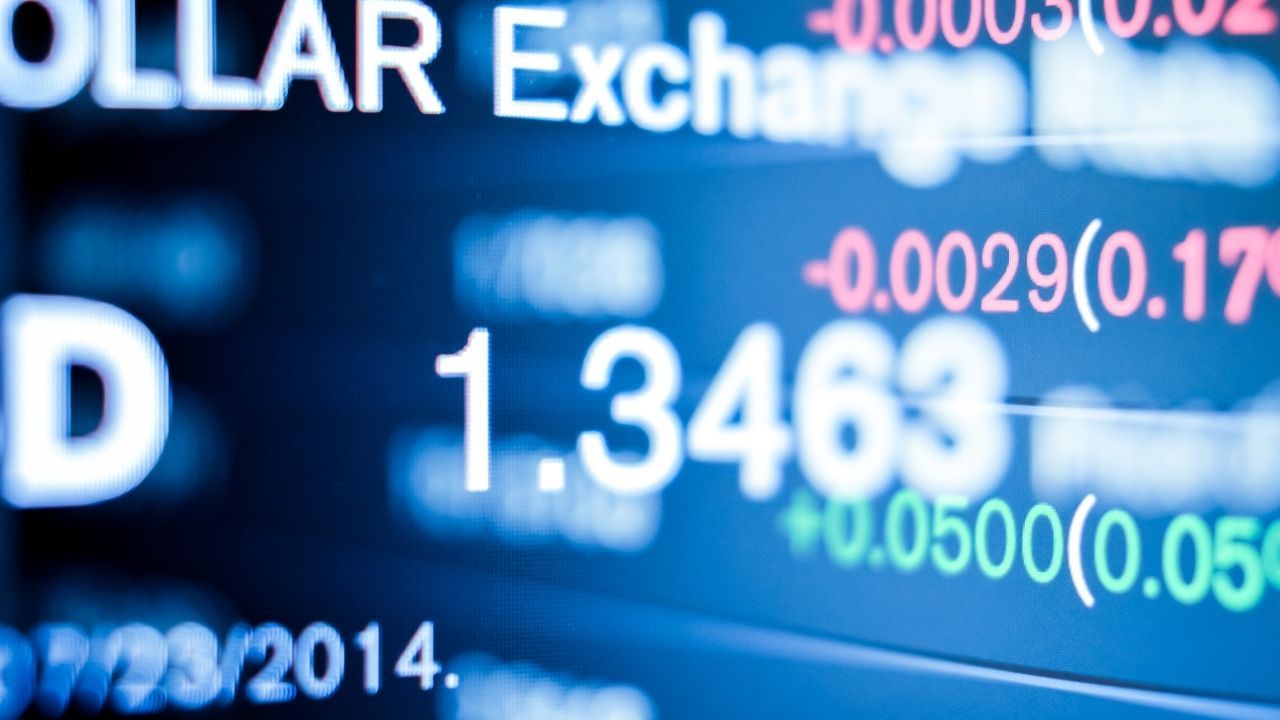 Kasım ayında en çok hangi yatırım aracı kazandırdı? 14