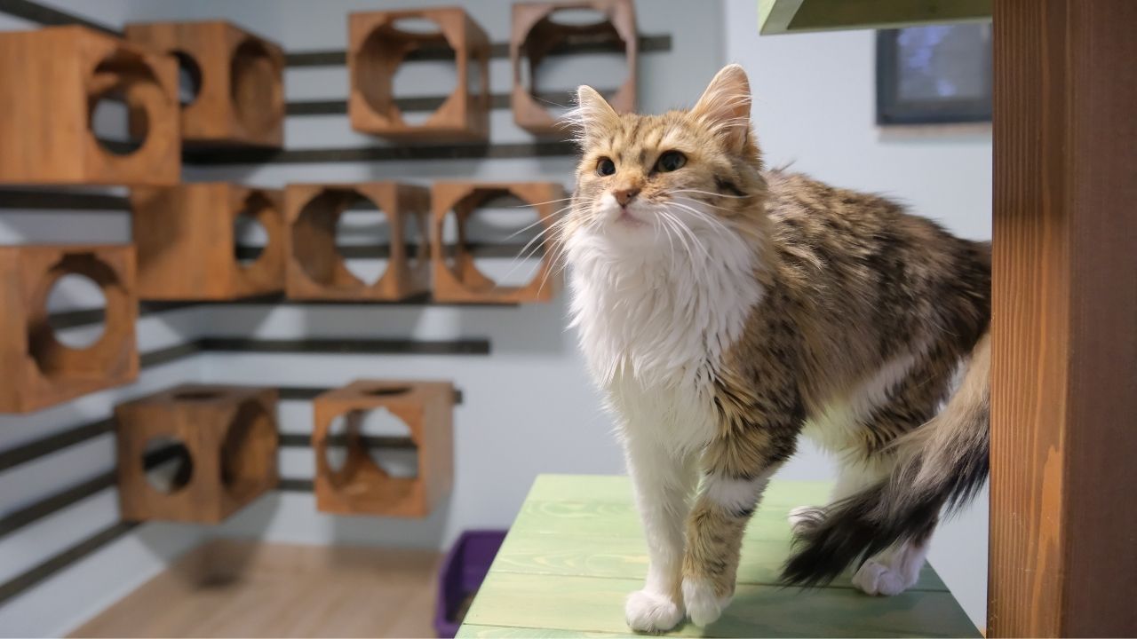 Başkan Aşgın farkı! Bütçe açığı değil, bütçe fazlası verdi 9