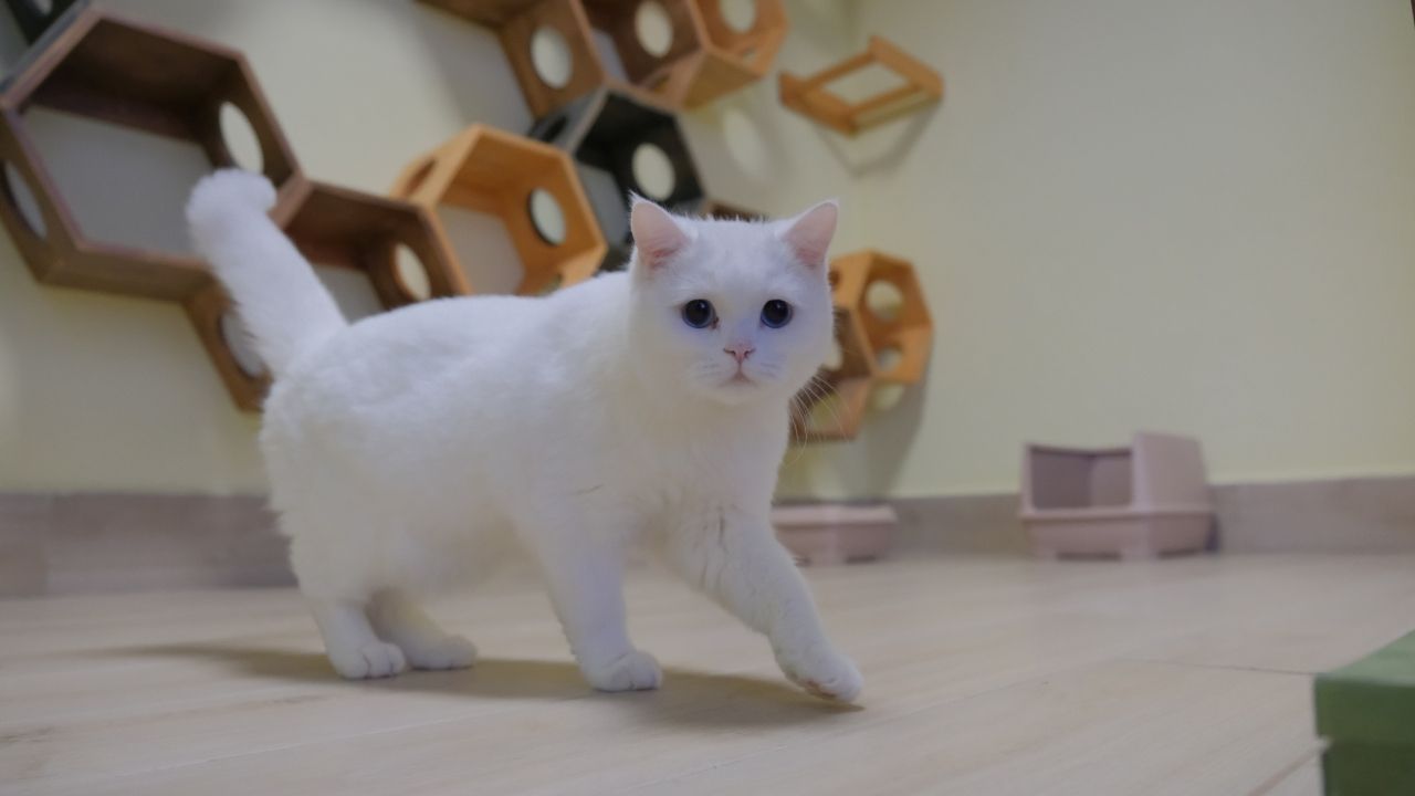 Başkan Aşgın farkı! Bütçe açığı değil, bütçe fazlası verdi 10