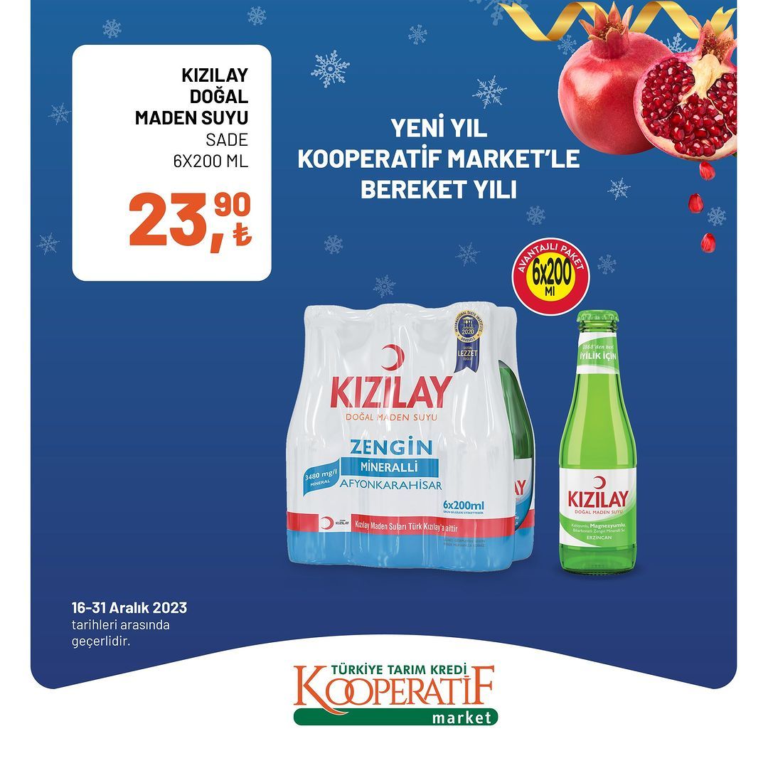 Tarım Kredi'de yılın son indirimleri! 34