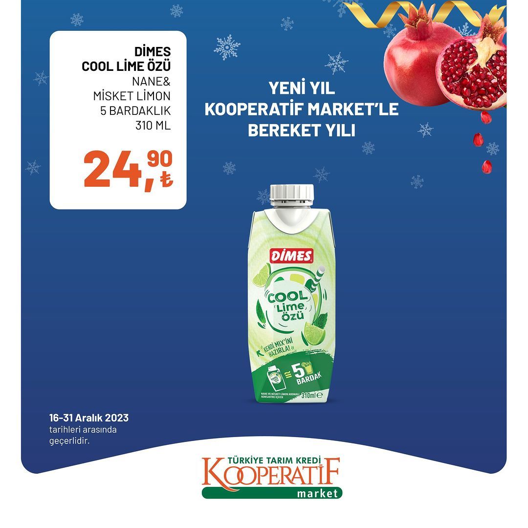 Tarım Kredi'de yılın son indirimleri! 46