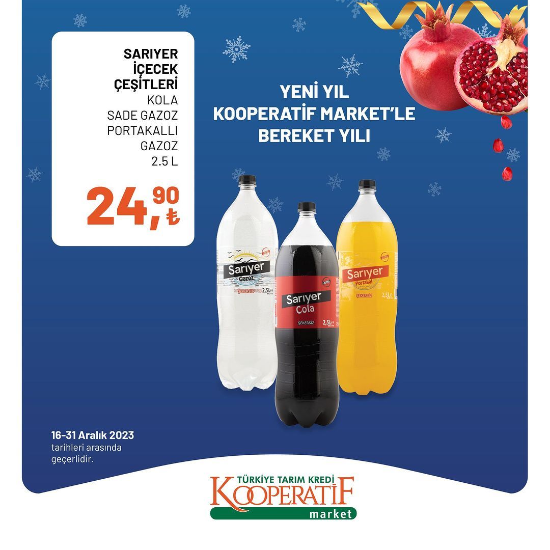 Tarım Kredi'de yılın son indirimleri! 37