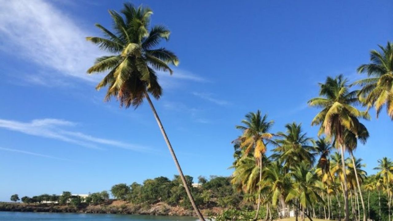 Survivor yarışmacıları haftalık ne kadar kazanıyor? 1