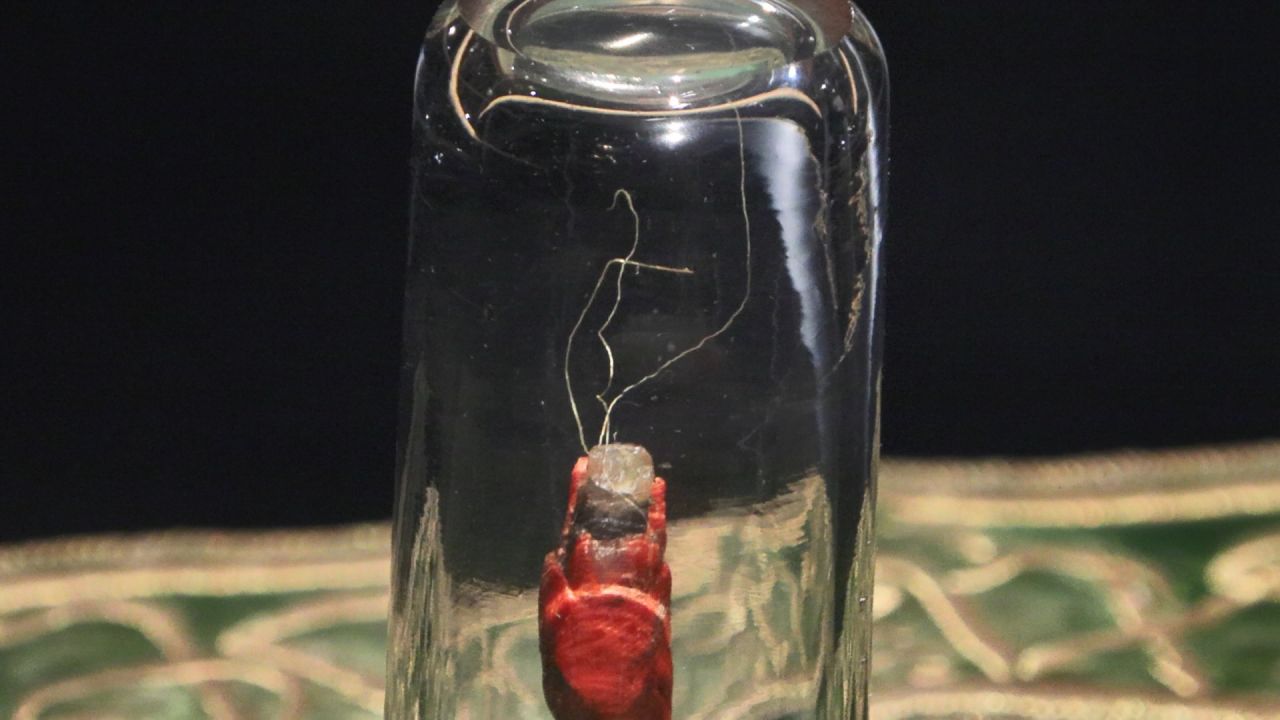 Hırka-i Şerif ziyarete açıldı 4