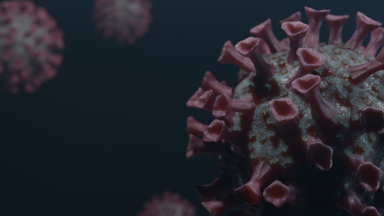 Japonya'da yeni salgın: Strep A virüsü 4