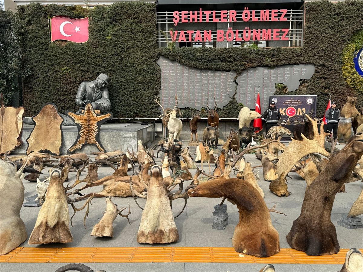 Kaçak avladığı hayvanlardan, müze kurdu! 4