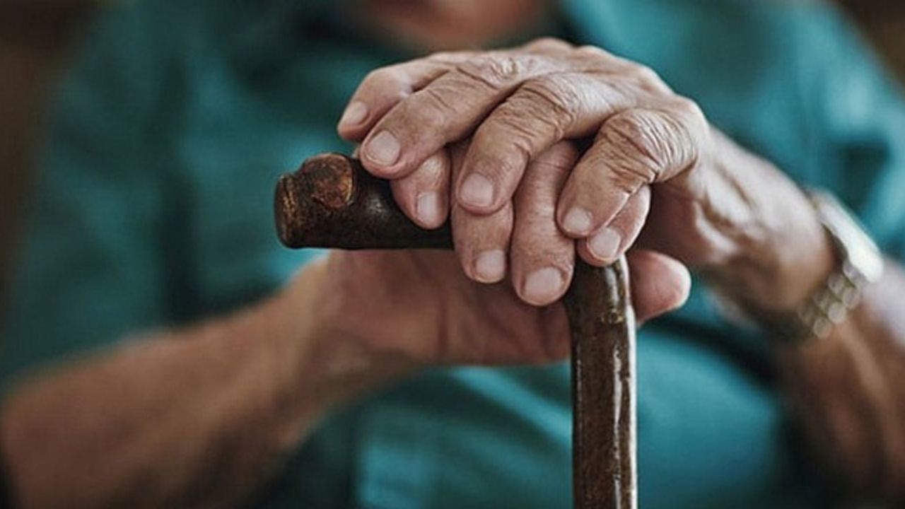 Türkiye, artık çok yaşlı nüfuslu ülke statüsünde! 6