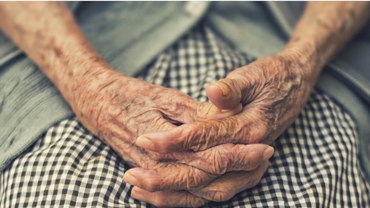 Türkiye, artık çok yaşlı nüfuslu ülke statüsünde! 12