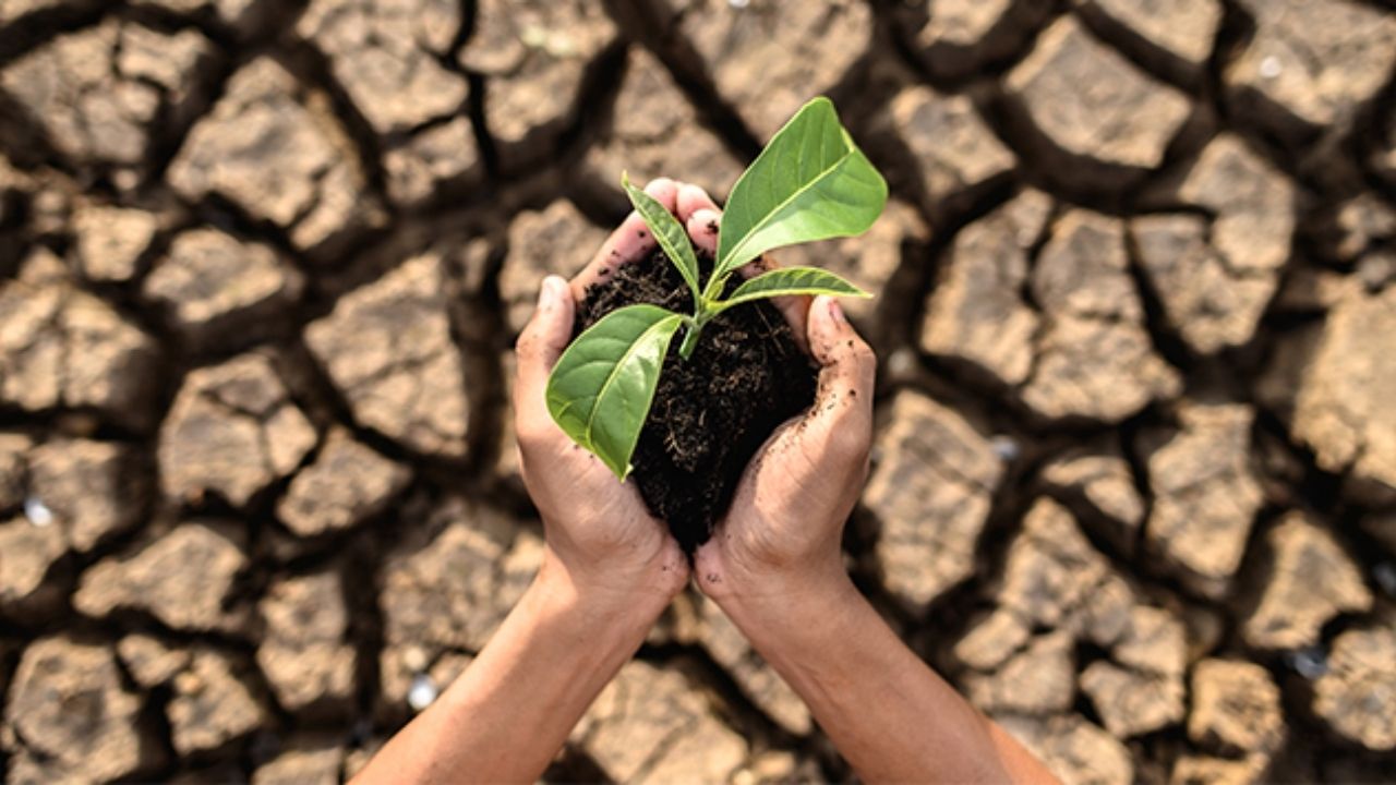 İklim değişikliğinin insan sağlığı üzerindeki etkileri 1