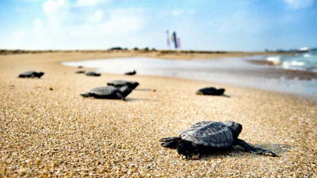 Türkiye’nin tarihi ve doğal güzelliklere sahip en iyi 6 plajı 3