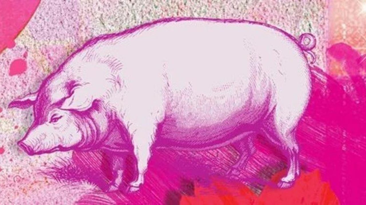 Çin burcunuza göre bu yıl sizi neler bekliyor? İşte 2024 Çin Ejderha yılında burcunuzu bekleyenler 12