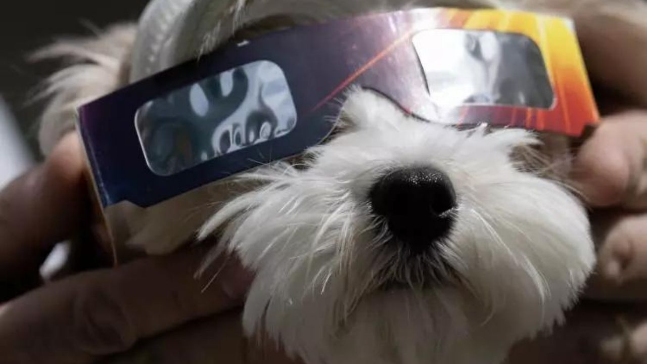 2024’ün ilk güneş tutulması gerçekleşti! Görenleri hayran bırakan o anlar böyle görüntülendi 14