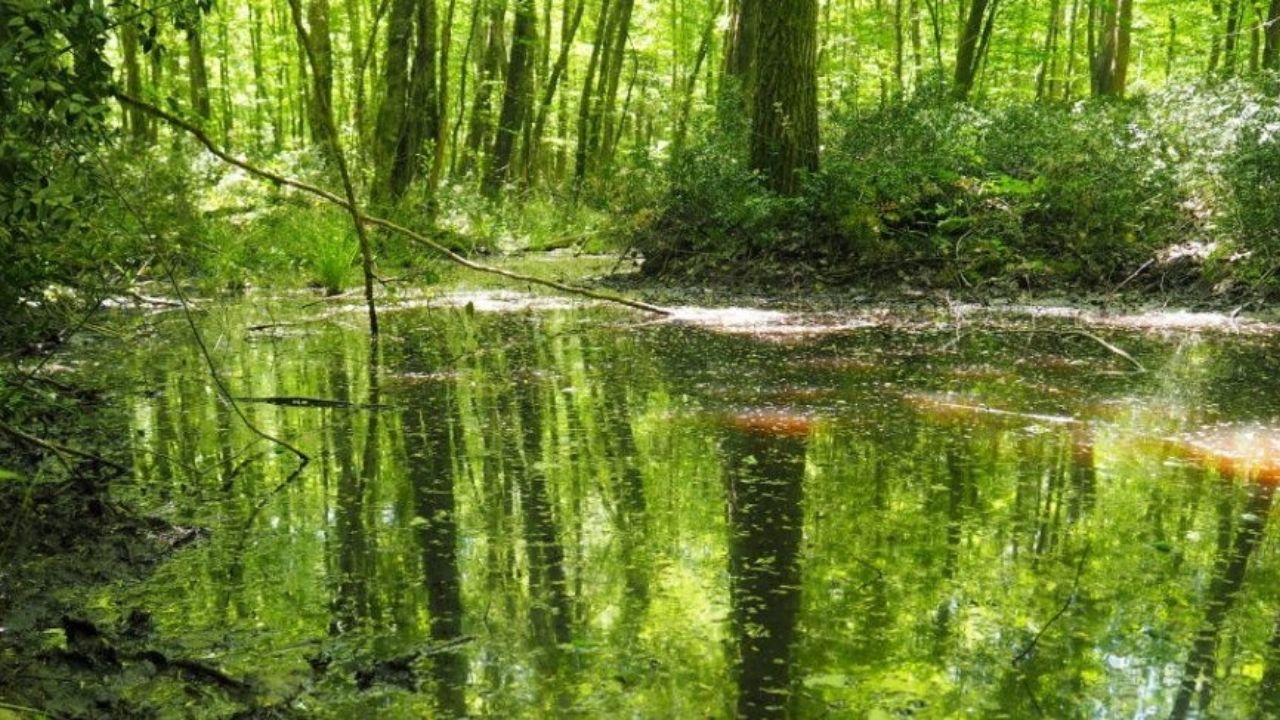 Ramazan Bayramı’nda İstanbul’a yakın gezilecek yerler 18