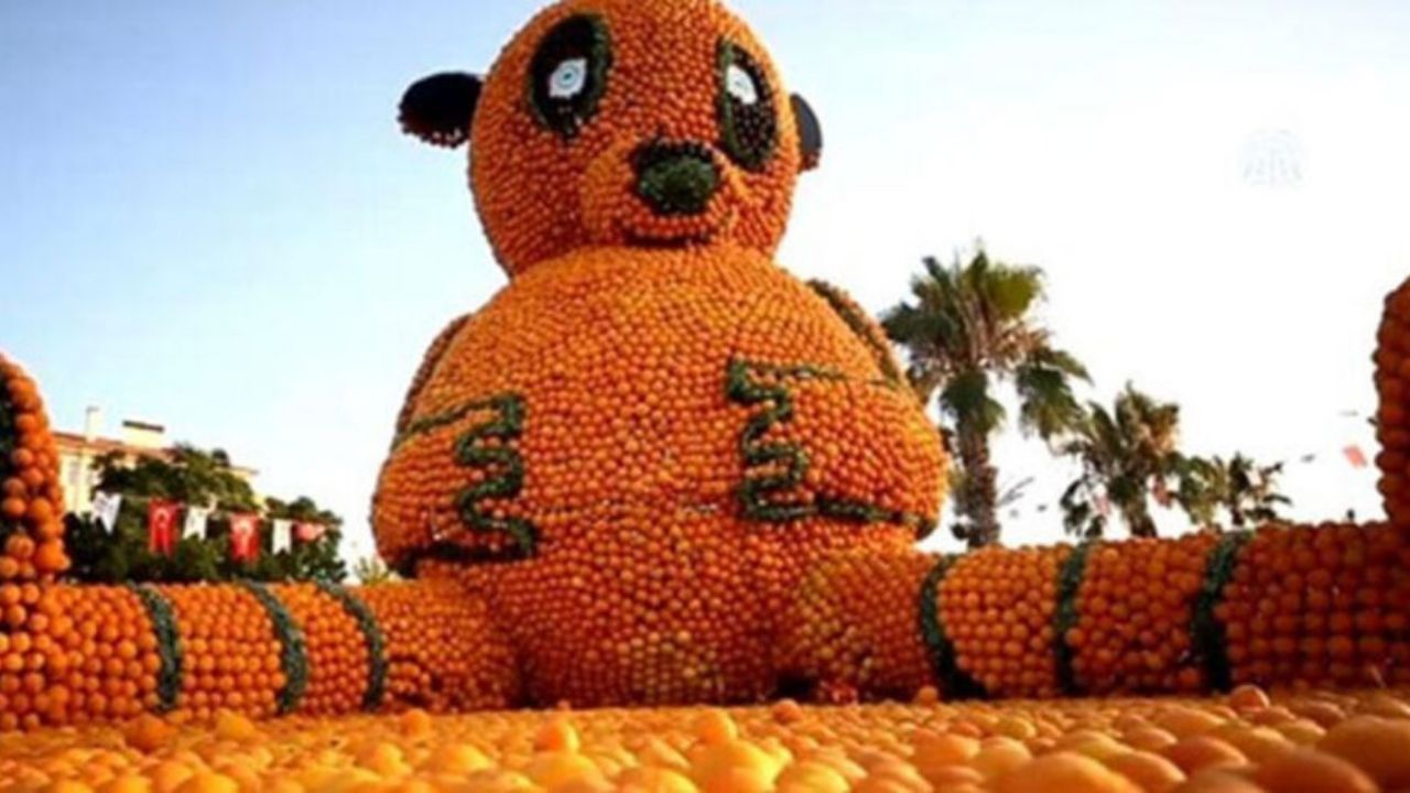 2024 Portakal Çiçeği Festivali başladı! 3