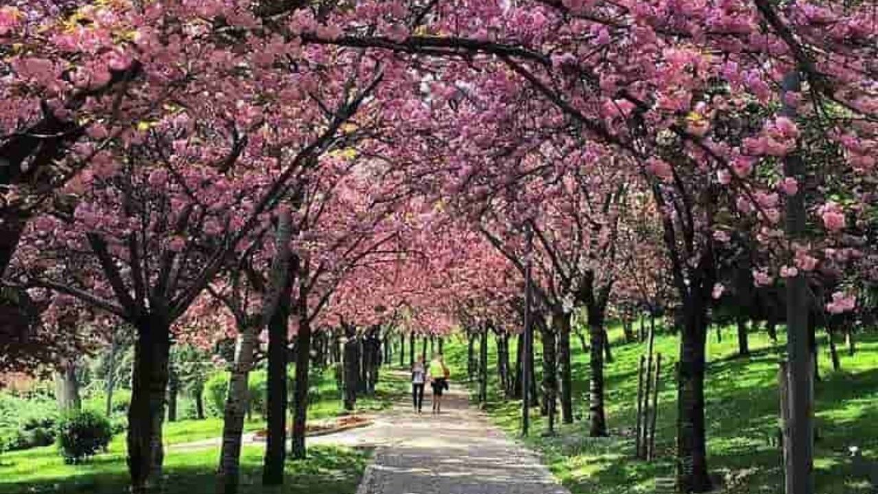 Ankara'da hafta sonu nereye gidilir? 22