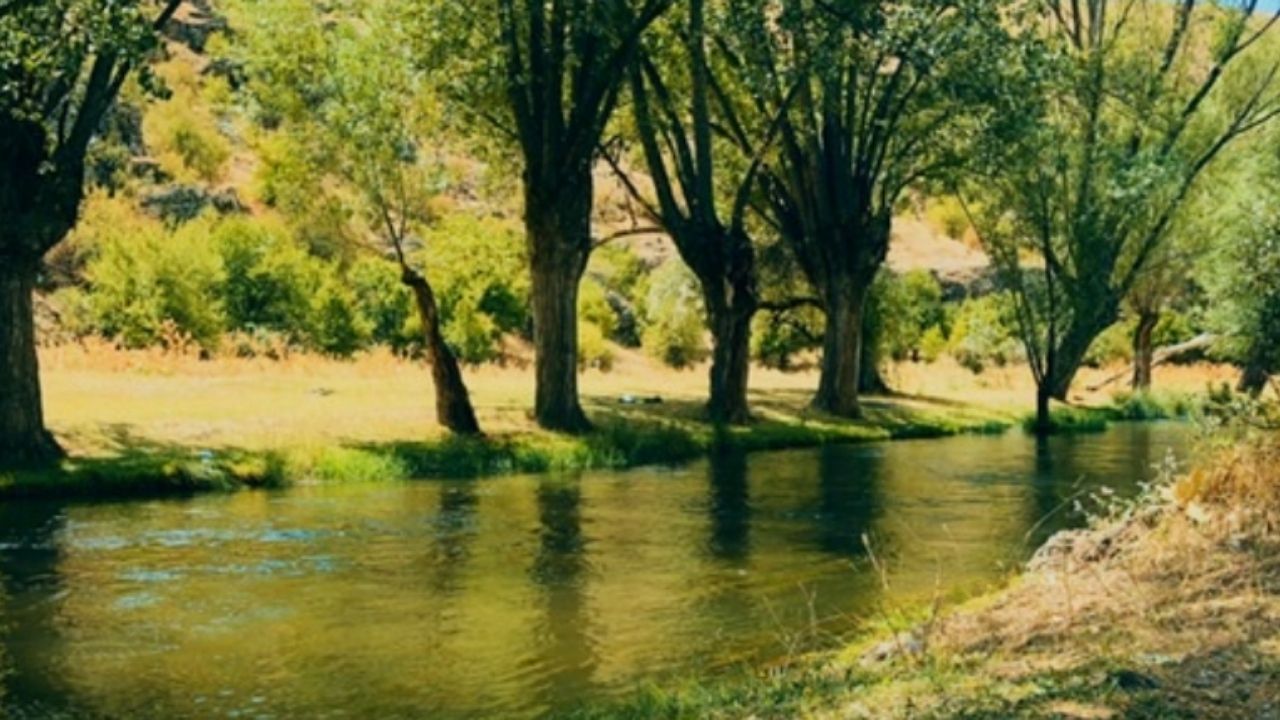 Ankara'da hafta sonu nereye gidilir? 21