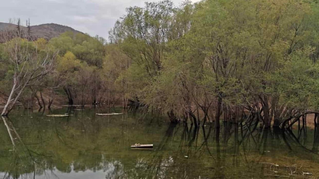 Ankara'da hafta sonu nereye gidilir? 18