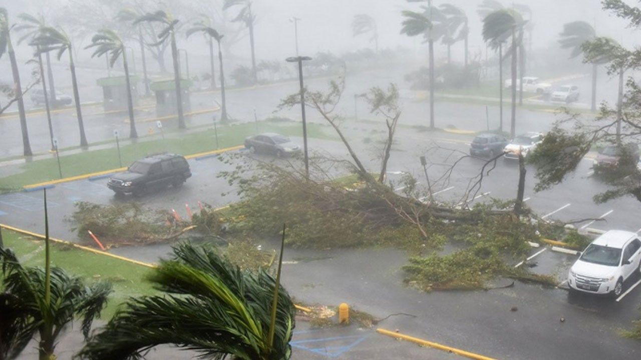 Yurt genelinde fırtına ve yağmur etkili oluyor! 1