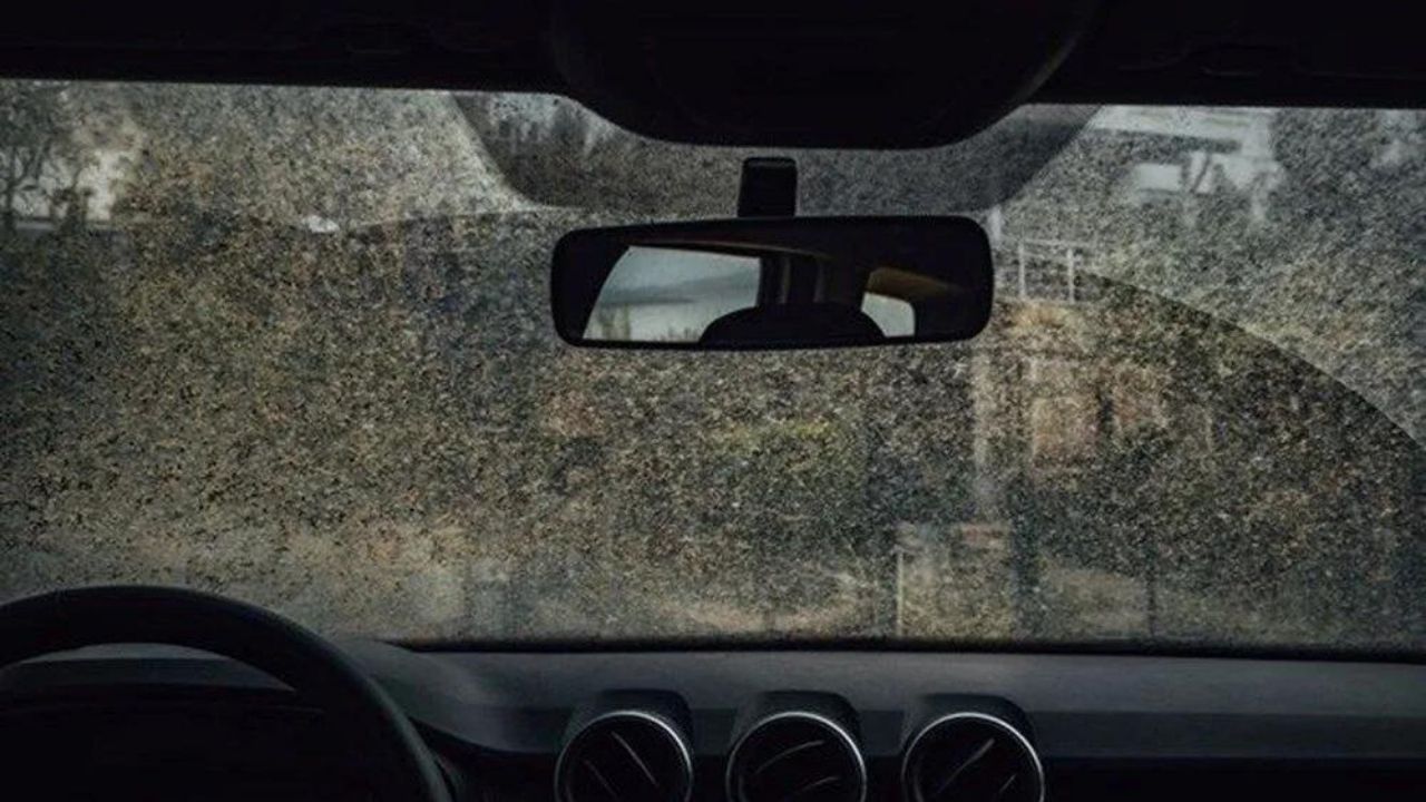 Çöl tozundan korunmak için neler yapılmalı? 6