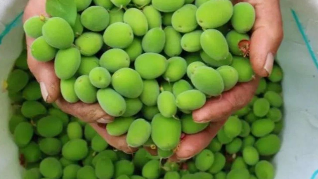 Unutulan ve unutulmaya yüz tutmuş sokak lezzetleri! 21