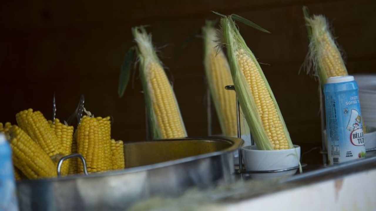 Unutulan ve unutulmaya yüz tutmuş sokak lezzetleri! 27