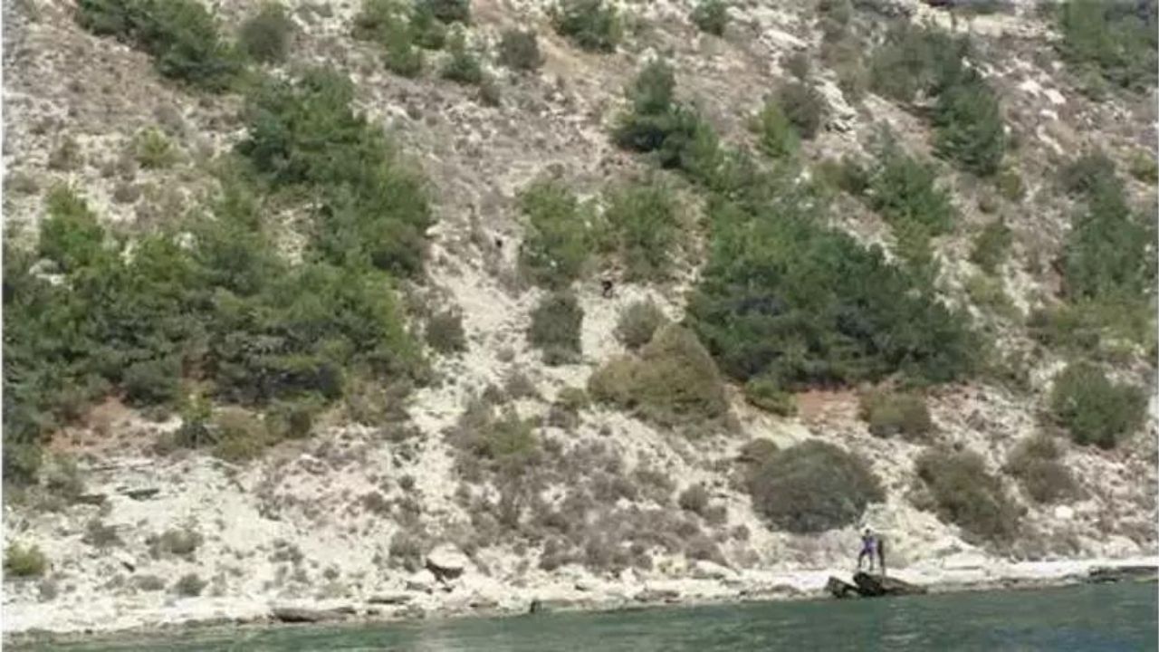 Geçmişten bugüne yaşanan en ilginç ve trajik sosyal medya kazaları! 16