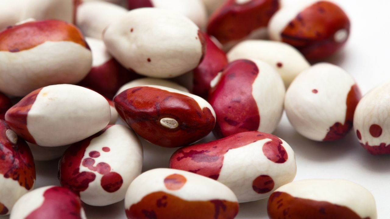 Kanserden koruyan ve kansere iyi gelen 13 besin! 19