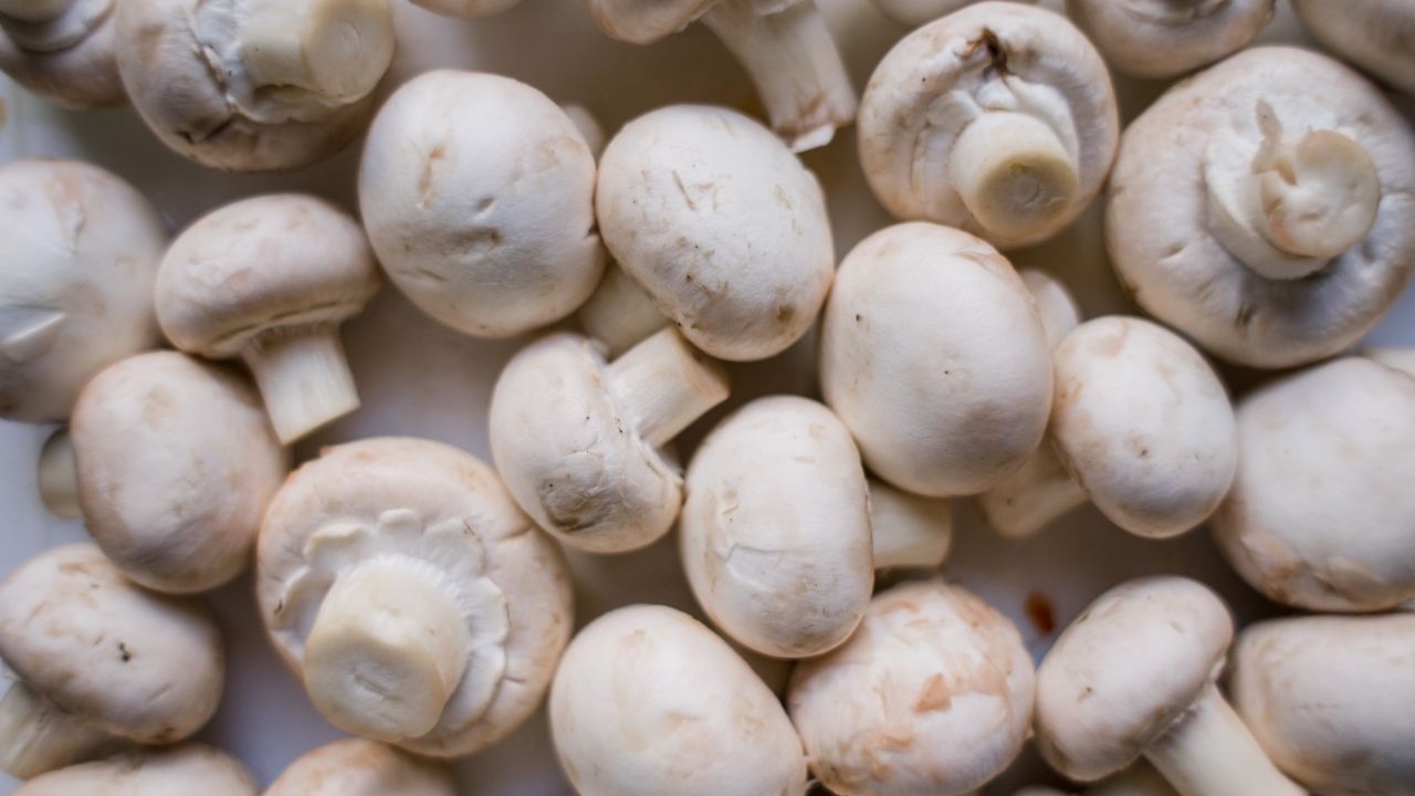 Mantar ve şimşek arasında ilişki var mı? Mantar, şimşek sonucu mu ortaya çıkıyor? 1