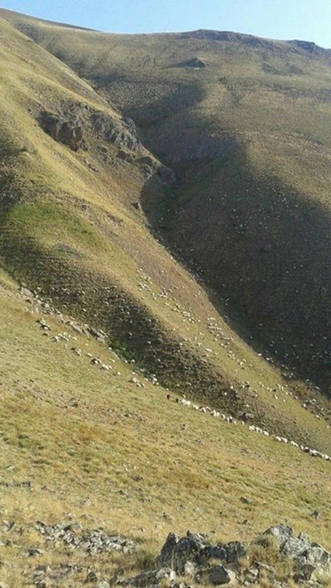 Maaşı 100 bin TL olan o meslekte çalışacak eleman bulunamıyor! 5