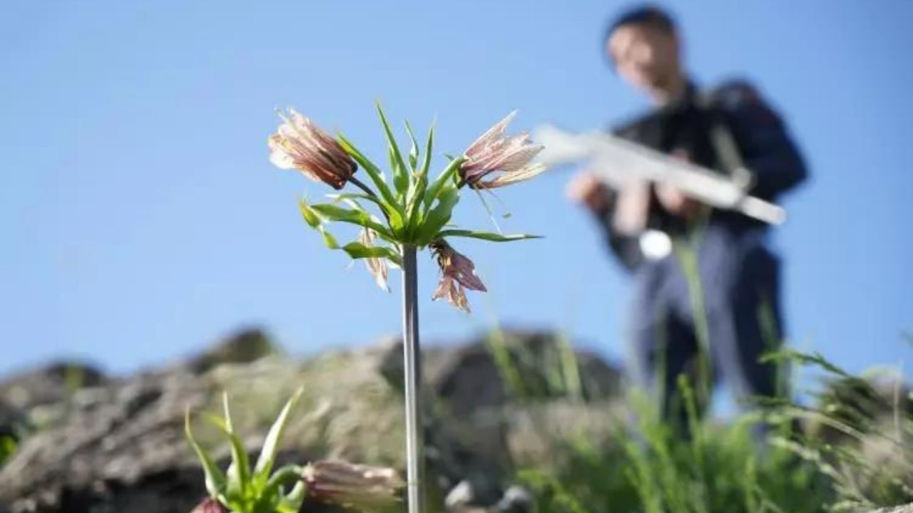 Ters laleyi koparmanın cezası ne kadar? 2