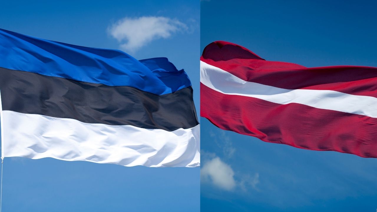 Avrupa’da başıboş sokak köpekleri için alınan önlemler 8