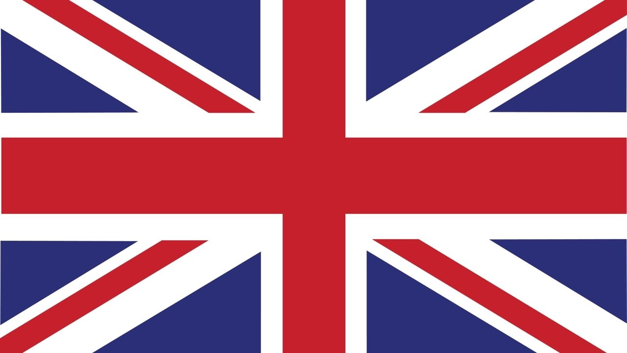 Avrupa’da başıboş sokak köpekleri için alınan önlemler 3