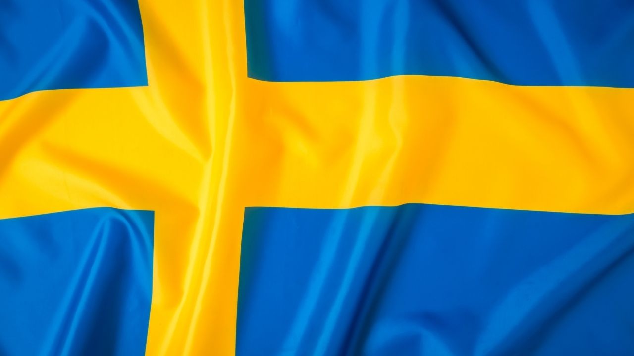 Avrupa’da başıboş sokak köpekleri için alınan önlemler 7