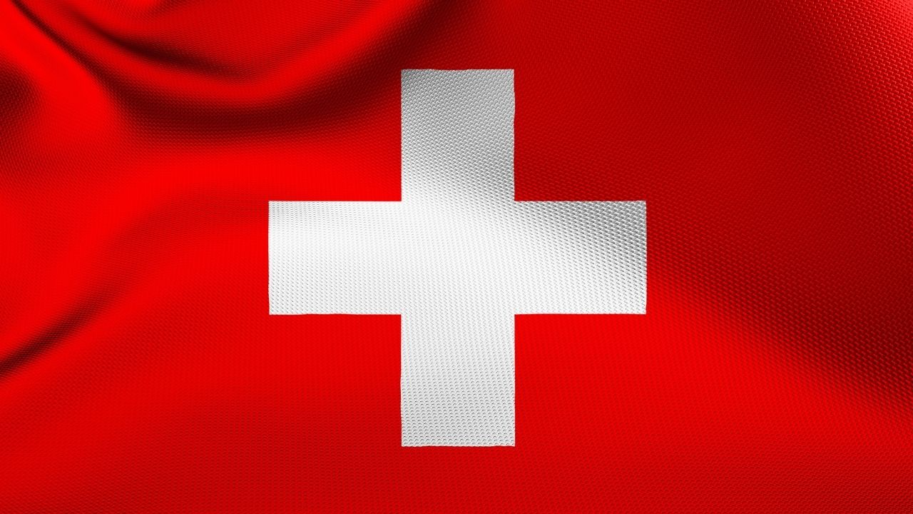 Avrupa’da başıboş sokak köpekleri için alınan önlemler 10