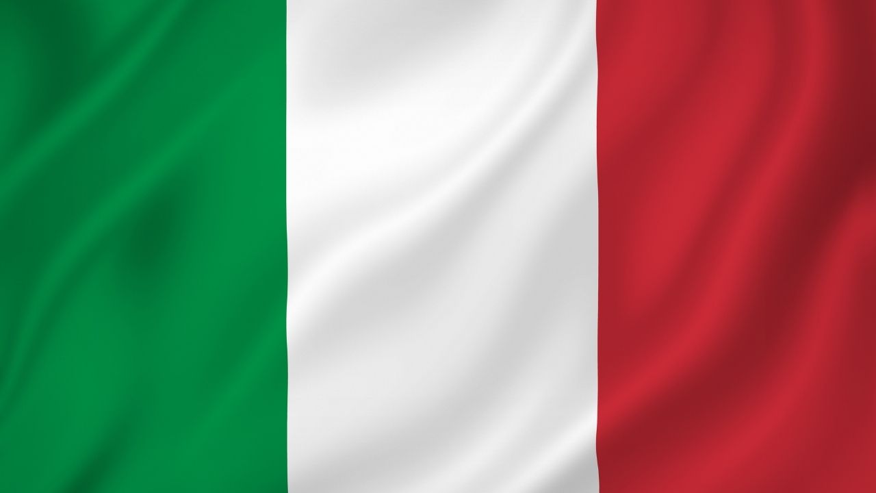 Avrupa’da başıboş sokak köpekleri için alınan önlemler 12