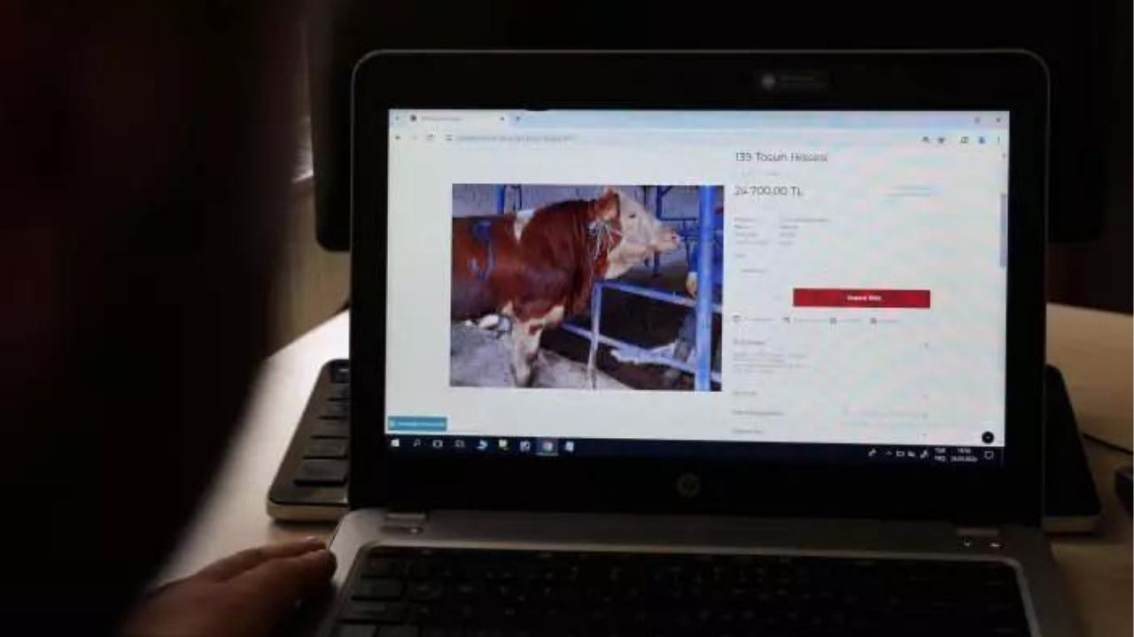 Türkiye'de bir ilk: Dijital kurban pazarı kuruldu! 3