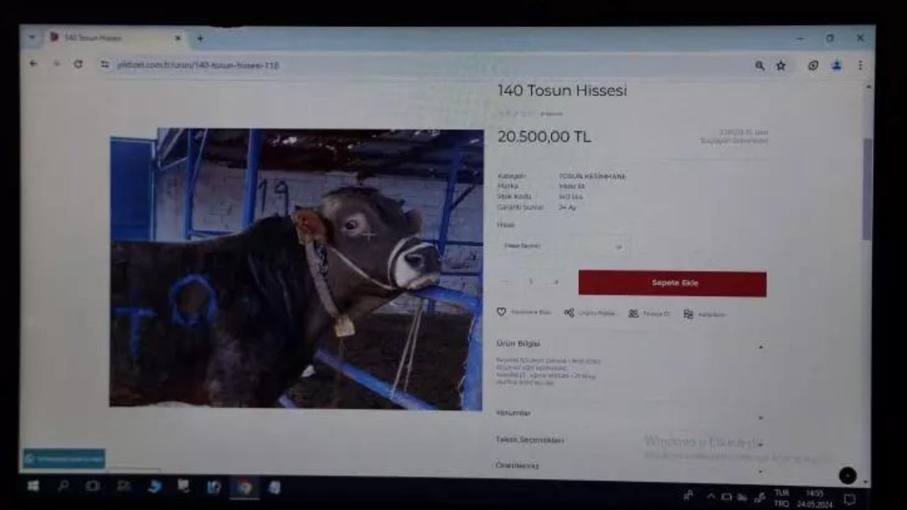 Türkiye'de bir ilk: Dijital kurban pazarı kuruldu! 10