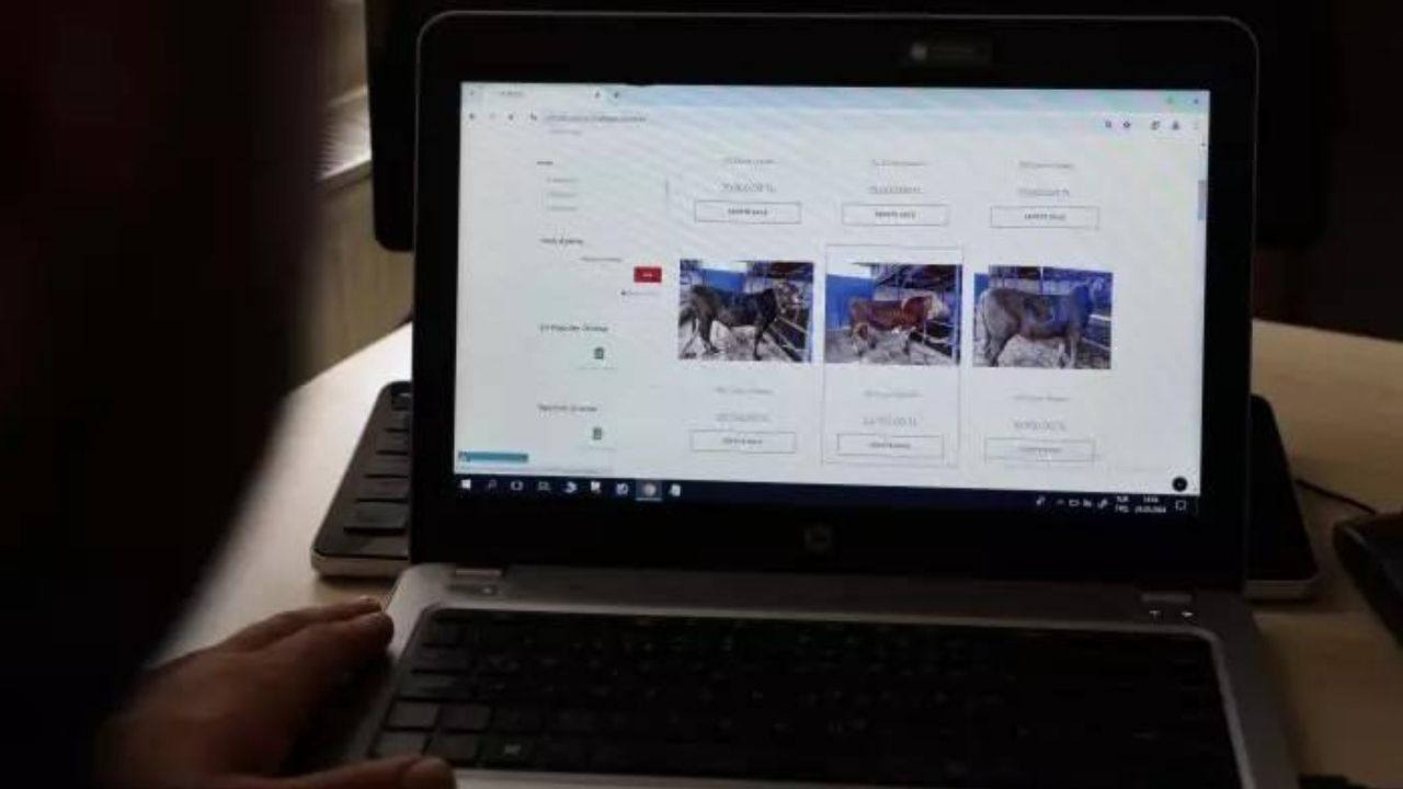 Türkiye'de bir ilk: Dijital kurban pazarı kuruldu! 8