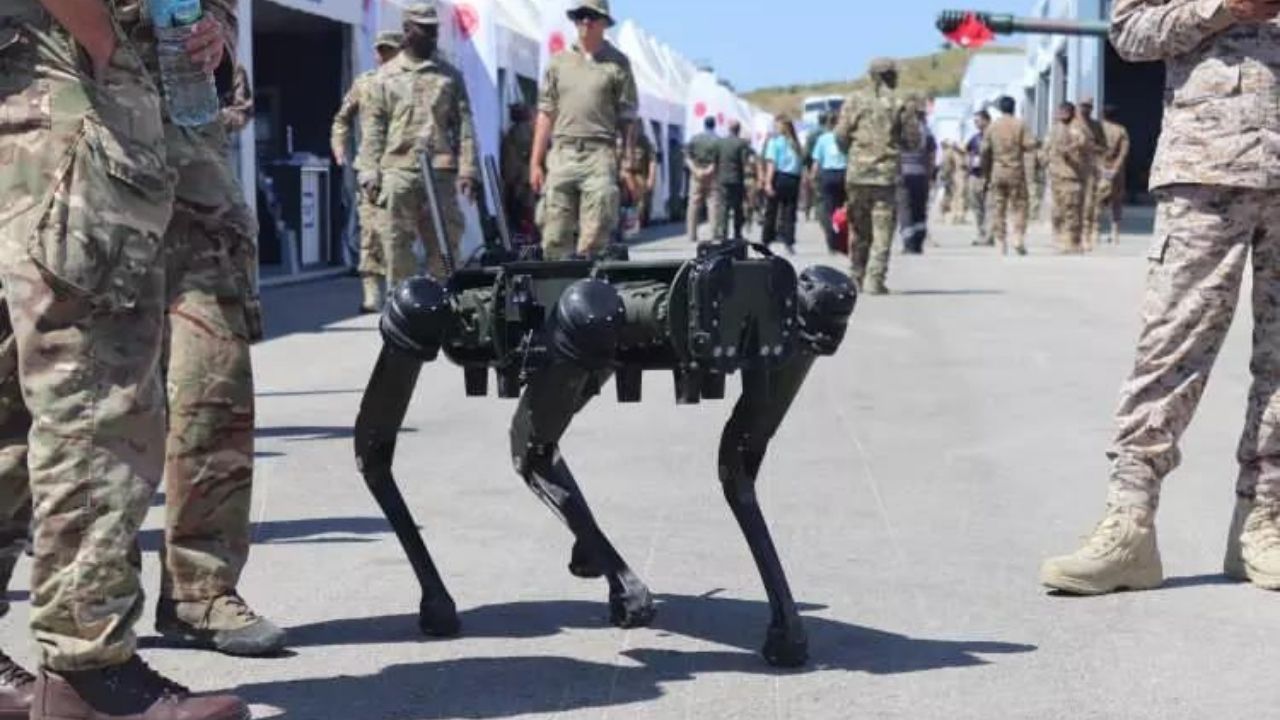 Efes-2024'te savunma sanayisinden gövde gösterisi 14