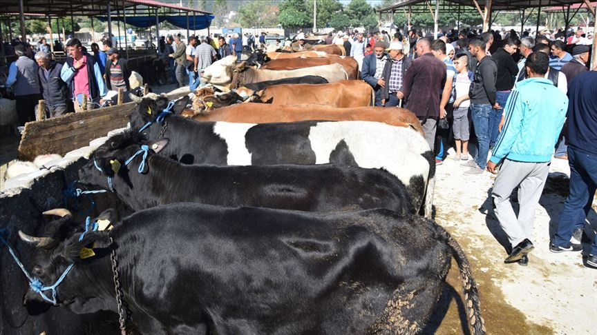 Kurban Bayramı öncesi vatandaş da, satıcı da şikayetçi 5